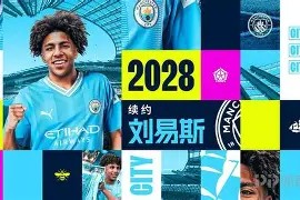 鬼灭之刃日轮刀大全